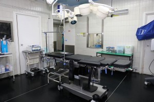 New operating table for Clinical Center of Serbia